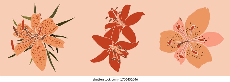 Collection Art collage lily flower in a minimal trendy style. Silhouette of lily plants in a contemporary simple abstract style on a pink background. Vector illustration For t-Shirt Print, card, flyer