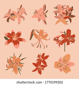 Collection Art collage lily flower in a minimal trendy style. Silhouette of lily plants in a contemporary simple abstract style on a pink background. Vector illustration For Print, card, poster, flyer