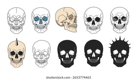 A collection of artistic skull illustrations featuring diverse styles and anatomical representations