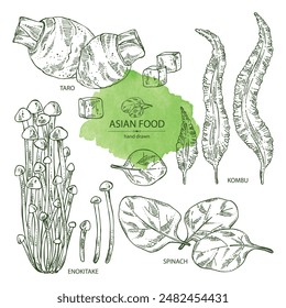 Collection of asian food: kombu seaweed, enokitake, spinach, taro root. Asian cuisine. Vector hand drawn illustration.