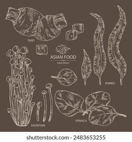 Collection of asian food: kombu seaweed, enokitake, spinach, taro root. Asian cuisine. Vector hand drawn illustration.