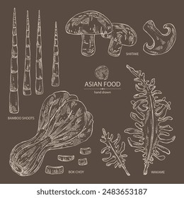 Collection of asian food: shiitake, wakame seaweed, bok choy, bamboo shoots. Asian cuisine. Vector hand drawn illustration.