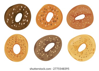 Collection of assorted bagels with different toppings such as sesame seeds, poppy seeds and whole grain. Perfect for cafe menus, bakery branding, food apps, packaging design, recipe illustrations and clipart use