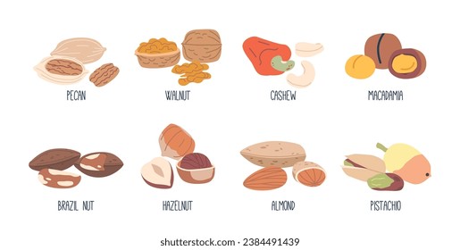 Colección De Tuercas Variadas. Almendra, Tuerca, Brasil Y Pecan, Cashew, Pistachio Y Macadamia Y Hazelnut