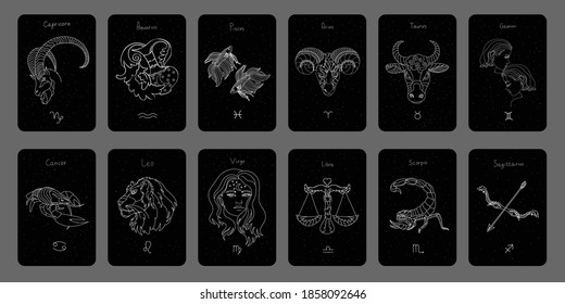 Collection of astrological zodiac signs. Hand drawn line art on black sky with stars. Capricorn, aquarius, pisces, aries, taurus, gemini, cancer, leo, virgo, libra, scorpio, sagittarius