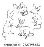 Collection Australian animal bilbies. Isolated Linear outline drawings, coloring book. Vector illustration