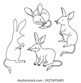 Collection Australian animal bilbies. Isolated Linear outline drawings, coloring book. Vector illustration