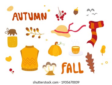 Collection of autumn attributes, fall season background, autumn elements. Vector illustration.