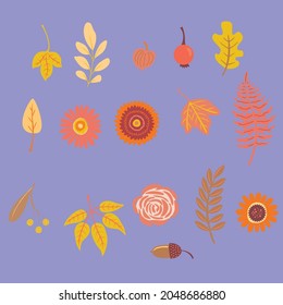Collection of autumn attributes, fall season background, autumn elements. Vector illustration.