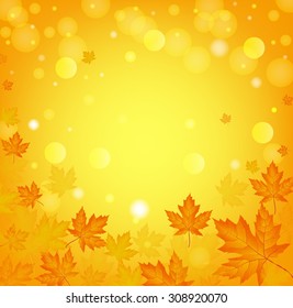  Collection of autumn banners
