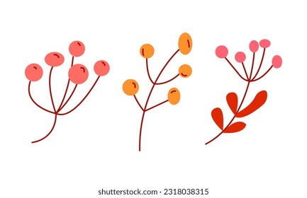 Colección de bayas de otoño. Ilustración plana del vector