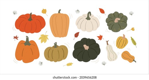 Collection of Autumn colored Pumkin, Autumn, Fall,Maple leaf ,Squash,gourd, Thanksgiving and Halloween Elements.