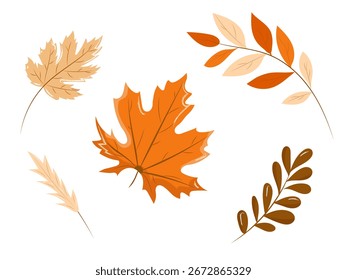 Coleção de folhas secas de outono. Ilustração vetorial sobre fundo branco. Ácer, rowan e outras folhas de árvores. Partes de plantas de cor castanha, laranja e bege