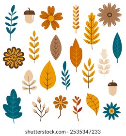 colección elemento de otoño, hojas de otoño y flores Colección - Ilustración vectorial