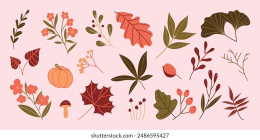 Collection of autumn element vector. Set of flowers, oak, maple, ginkgo leaf, berry, pine leaves, pumpkin, mushroom, leaves. Hand drawn of autumn foliage design for decorative, print, graphic, card.