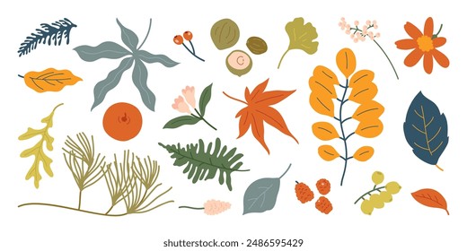 Collection of autumn element vector. Set of flowers, oak, maple leaf, leaves branch, berry, pine leaves, ginkgo, walnut. Hand drawn of autumn foliage design for decorative, print, graphic, card.