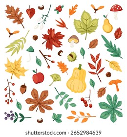 Coleção de elementos de outono e Folhas. Conjunto desenhado à mão de folhagem de queda, bordo, folhas de carvalho e castanheiro, bagas, cogumelos, maçã, pera, abóbora e bolotas. Ilustração de vetor isolado plano.