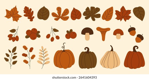 Collection of autumn elements pumpkins, mushrooms, leaves, berries and acorns. Set of fall season web graphics and cozy design themes. Vector illustration