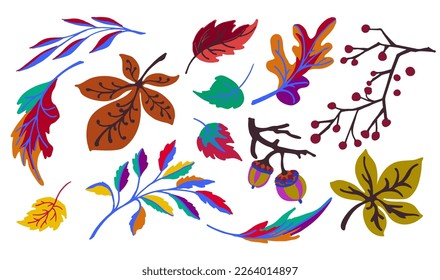 Collection of autumn exotic leaves. Ethnic poster with a floral pattern. A banner with a border, a wreath of branches and berries. Falling leaf background with oak. Foliage of maple, chestnut, linden,