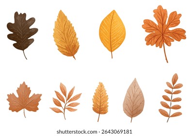 Collection of autumn foliage leaves in orange and brown tones isolated on white background illustration