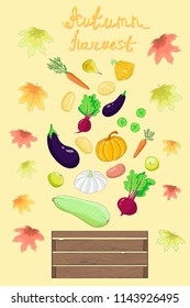collection  autumn harvest of  fruit and vegetables: pumpkin, beet, eggplant, potato, carrot, patisson vector set