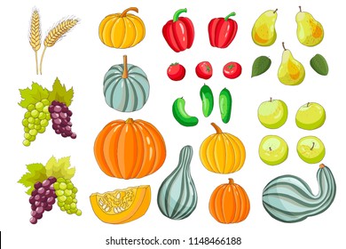 collection  autumn harvest of pumpkin, apple, pear, grape, cucumber, tomato, pepper, rye, vector set  isolated elements
