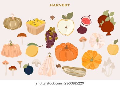 Collection of autumn harvest, pumpkin, apple, fig, grape, pomegranate, plum, mushrooms. Botanical autumn set. Editable vector illustration.