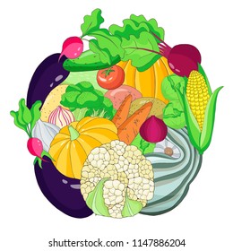 collection  autumn harvest of  vegetables:  pumpkin, garlic, corn, eggplant, beet, pepper, patisson, radish, onion, broccoli vector set