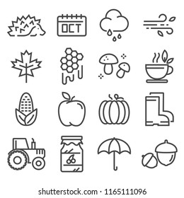 Collection of autumn icons. Isolated vector. Rain, forecast, tea, honey, apple umbrella jam and more
