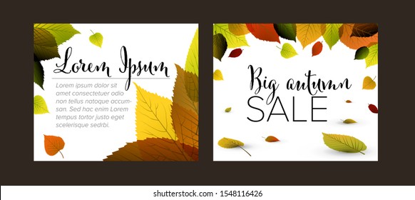 Collection of autumn Inline Medium Rectangle banner templates