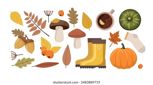 Collection of autumn items, with leaves, foliage, berries, pumpkins, socks and tea cup.