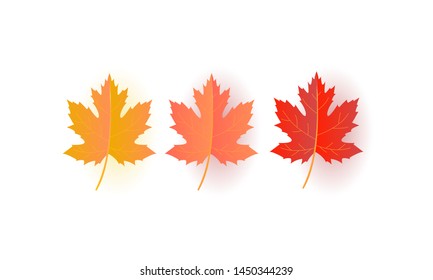 collection of Autumn leaf. Autumn maple leaf isolated on a white background. Vector illustration