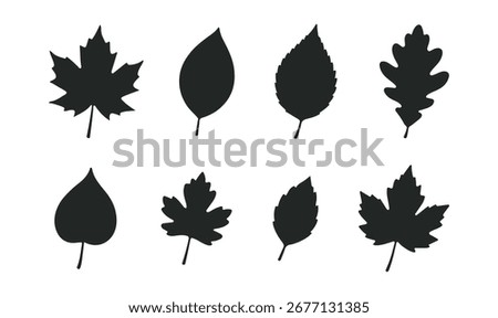 Collection of autumn leaf silhouettes set isolated on white background. Variety of different tree leaves vector design perfect for fall seasonal decoration.