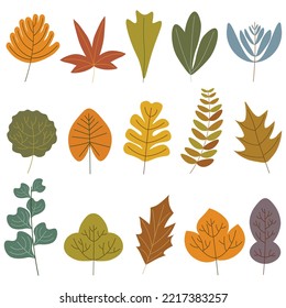 Collection of autumn leaf. Vector illustration on white background