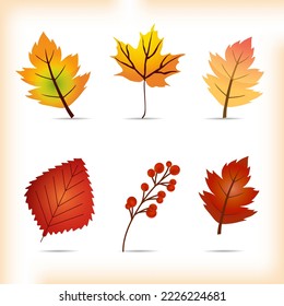 Collection of autumn leaf vector. Pack of leaf maple vector