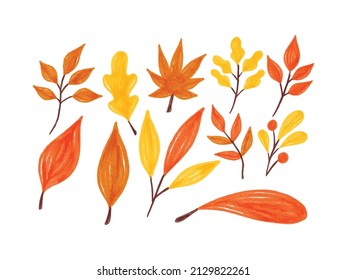 Collection of Autumn Leaf Watercolor Illustration