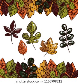 Collection of autumn leaves