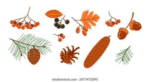 A collection of autumn leaves and cones. The image has a warm and cozy feeling, evoking the colors and textures of fall
