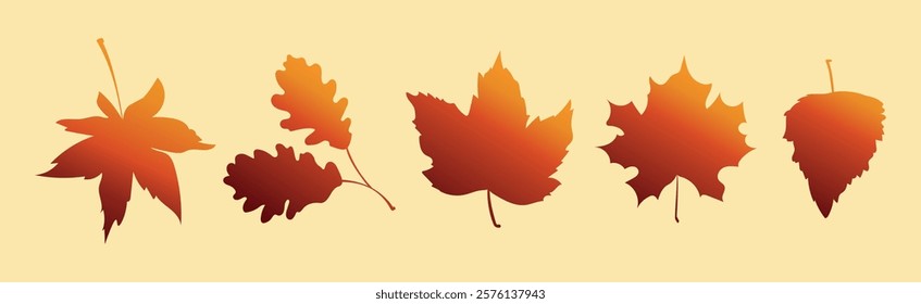 Collection of autumn leaves in flat style. Autumn season decor. Leaf design for cover, poster, card, wallpaper, lantern, banner. EPS10
