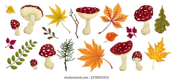 Collection of autumn leaves, forest plants, branches, mushrooms of red fly agaric. Cartoon vector graphics.