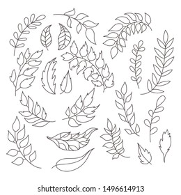 Collection of autumn leaves. Hand drawn vector illustration.