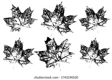 Collection of autumn leaves imprints. Colored silhouettes of leaves. Set with stamp leaves. Vector illustration.