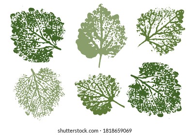 Collection of autumn leaves imprints. Colored silhouettes of leaves. Set with stamp leaves. Vector illustration.