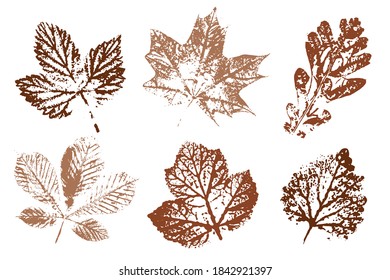 Collection of autumn leaves imprints. Colored silhouettes of leaves. Overlay template. Vector illustration.