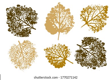 Collection of autumn leaves imprints. Autumn foliage, vector colored illustration. Set with stamp leaves. Vector illustration.