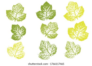 Collection of autumn leaves imprints.  Objects isolated on white. Overlay template. Vector illustration.