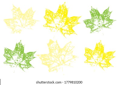 Collection of autumn leaves imprints.  Objects isolated on white. Set with stamp leaves. Vector illustration.