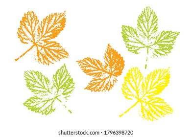 Collection of autumn leaves imprints.  Objects isolated on white. Overlay template. Vector illustration.