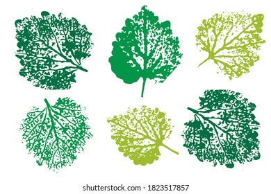 Collection of autumn leaves imprints.  Objects isolated on white. Overlay template. Vector illustration.