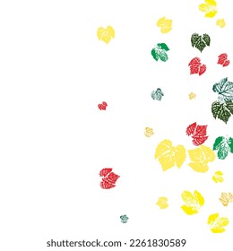 Collection of autumn leaves. Monochrome artistic floral collection. Vector illustration. Hi detailed texture of forest leaves